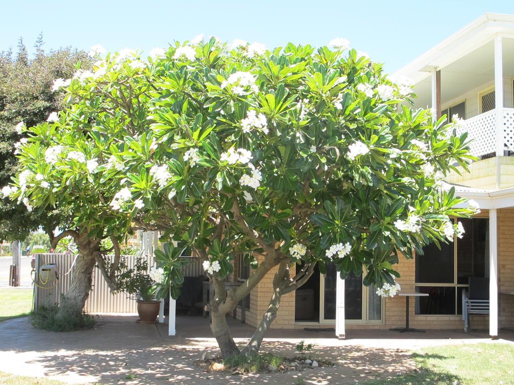 Kalbarri Riverfront Unit Apartamento Exterior foto